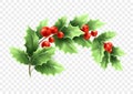 Christmas crescent holly branch illustration Royalty Free Stock Photo