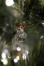 Christmas crystal reindeer Swarovski Ornament Royalty Free Stock Photo