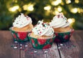 Christmas cupcakes Royalty Free Stock Photo