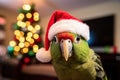 Christmas Cute funny green parrot in red Santa hat Royalty Free Stock Photo