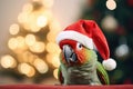 Christmas Cute funny green parrot in red Santa hat Royalty Free Stock Photo