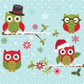 Christmas Cute Owl with Branch Royalty Free Stock Photo