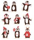 Christmas cute penguin vector character cartoon bird celebrate Xmas poses Royalty Free Stock Photo