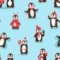 Christmas cute penguin vector character cartoon bird celebrate Xmas poses - play, fly and happy penguin face smile Royalty Free Stock Photo