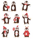 Christmas cute penguin vector character cartoon bird celebrate Xmas poses - play, fly and happy penguin face smile Royalty Free Stock Photo