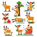 Christmas cute reindeer Santa Claus character vector New Year illustration of deer animal for sleigh Royalty Free Stock Photo