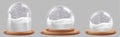 Christmas 3d bronze glass snow ball dome vector