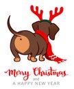 Christmas dachshund puppy dog cartoon illustration. Cute wiener sausage dog wearing red scarf and antlers. Funny doxie