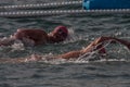 CHRISTMAS DAY HARBOUR SWIM 2015, BARCELONA, Port Vell - 25th December: swimmers race on 200 meters distance