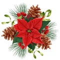 Christmas decor. Bouquet with red poinsettia flower, mistletoe, berries and pine. Royalty Free Stock Photo