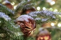 Christmas decor brown shiny Christmas toy on a background of fluffy fir