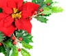 Christmas decor Royalty Free Stock Photo