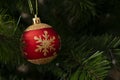 Christmas decorarion background. One red christmas ball on christmas tree Royalty Free Stock Photo