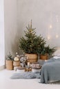Christmas decorated bedroom interior with comfortable bed, Christmas fir tree and gift boxes on floor, copy space. Cozy home Royalty Free Stock Photo