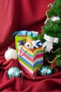 Christmas decorated fur-tree and packages Royalty Free Stock Photo