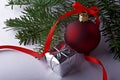 Christmas decoration Royalty Free Stock Photo