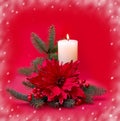 Christmas decoration. Flower of red poinsettia, branch christmas tree, candle, red berries, snow on a red background with space fo