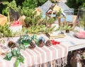 Christmas decoration at back yard background: cypress trees, candles, fir-cones on wooden table Royalty Free Stock Photo