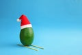 Christmas decoration background with frsh green avocado skiing in santa hat on bright blue background. Card concept. Closeup.