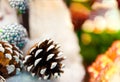 Christmas decoration background: pine and cypress cones balls with twigs in the other decorations garlands copy space. Royalty Free Stock Photo