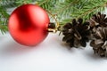 Christmas decoration ball, pine cone and branch Royalty Free Stock Photo