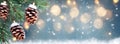 Christmas Decoration Banner - Snowy Pine Cones On Fir Branch Royalty Free Stock Photo