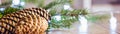 Christmas Decoration Banner - Snowy Pine Cones On Fir Branch With Christmas Lights Royalty Free Stock Photo