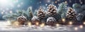 Christmas Decoration Banner - Snowy Pine Cones On Fir Branch With Lights Royalty Free Stock Photo