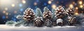 Christmas Decoration Banner - Snowy Pine Cones On Fir Branch With Lights Royalty Free Stock Photo