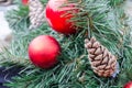 Christmas decoration baubles with branches of fir tree. Royalty Free Stock Photo