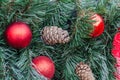 Christmas decoration baubles with branches of fir tree. Royalty Free Stock Photo