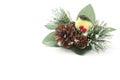 Christmas decoration with a bird Royalty Free Stock Photo