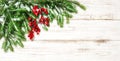 Christmas decoration border. Fir tree branch with red berries Royalty Free Stock Photo