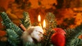 Christmas decoration with candles. Composition of Christmas tree branches Royalty Free Stock Photo