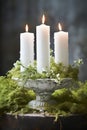 Christmas decoration with candles, moss, winter flowers Royalty Free Stock Photo