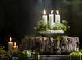 Christmas decoration with candles, moss, winter flowers and wooden snag Royalty Free Stock Photo