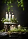 Christmas decoration with candles, moss, winter flowers and wooden snag Royalty Free Stock Photo