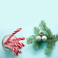 Christmas decoration with candy canes in glass with evergreen tree on blue background. Copy space. Royalty Free Stock Photo