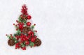 Christmas decoration. Cones pine, twigs christmas tree, red berries and red apples on snow with space for text. Top view, flat lay Royalty Free Stock Photo