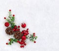 Christmas decoration. Cones pine, twigs christmas tree, red berries and apples on snow with space for text. Top view, flat lay Royalty Free Stock Photo