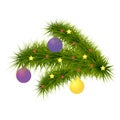 Christmas decoration fir branch Royalty Free Stock Photo