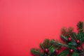 Fir twig fresh against red color background