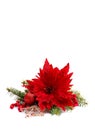 Christmas decoration. Flower of red poinsettia, branch christmas tree, christmas ball, red berry on a white background Royalty Free Stock Photo