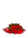 Christmas decoration. Flower of red poinsettia, branch christmas tree, christmas balls, gift box and cones spruce Royalty Free Stock Photo