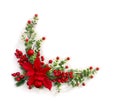 Christmas decoration. Flower of red poinsettia, branch christmas tree, red berries on white background with space for text Royalty Free Stock Photo