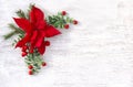 Christmas decoration. Flower of red poinsettia, branch christmas tree, red berries on white painted wooden background Royalty Free Stock Photo