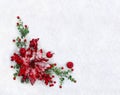 Christmas decoration. Flower of red poinsettia, twigs christmas tree, red apples, red berries on snow with space for text Royalty Free Stock Photo