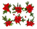 Christmas decoration. Flowers of red poinsettia with sprigs christmas tree and christmas red balls on a white background. Top view Royalty Free Stock Photo