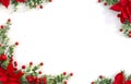 Christmas decoration. Frame of flowers of red poinsettia, branch christmas tree, red berries on white background
