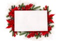 Christmas decoration. Frame of flowers of red poinsettia, branch christmas tree, red berries with white paper card note Royalty Free Stock Photo